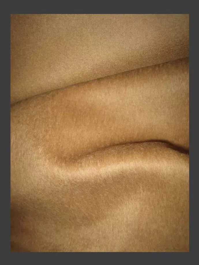 Nice Baby Alpaca Suri Fabric