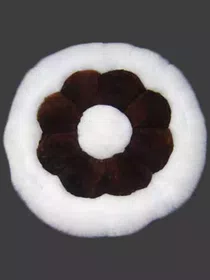 Winter Luxury Fur Cushions