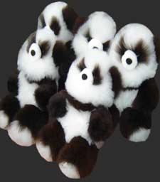 Image result for Alpaca skin Panda Teddy Bears